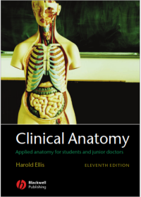 Clinical Anatomy : Eleventh Edition