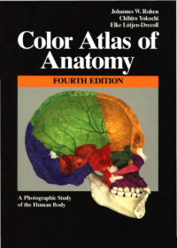 Color Atlas of Anatomy : Fourth Edition