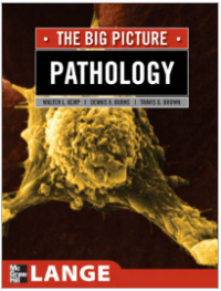 The Big Picture Pathology